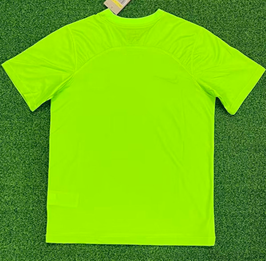 WOLFSBURG 2023/2024 DOM